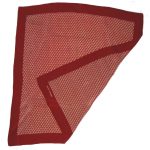 Christian Aujard, Paris silk scarf